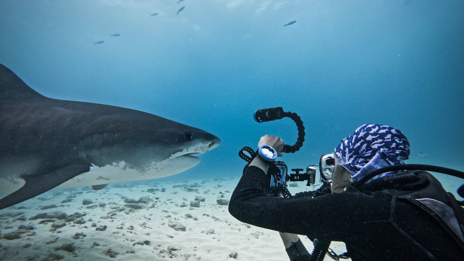 Diving