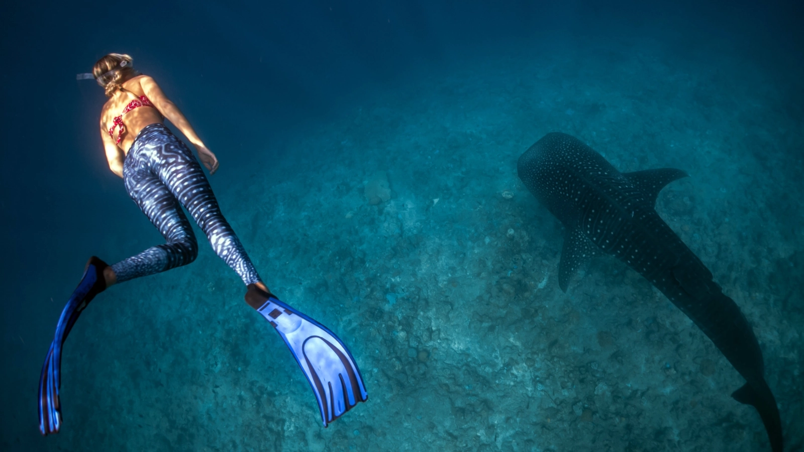 Snorkelling