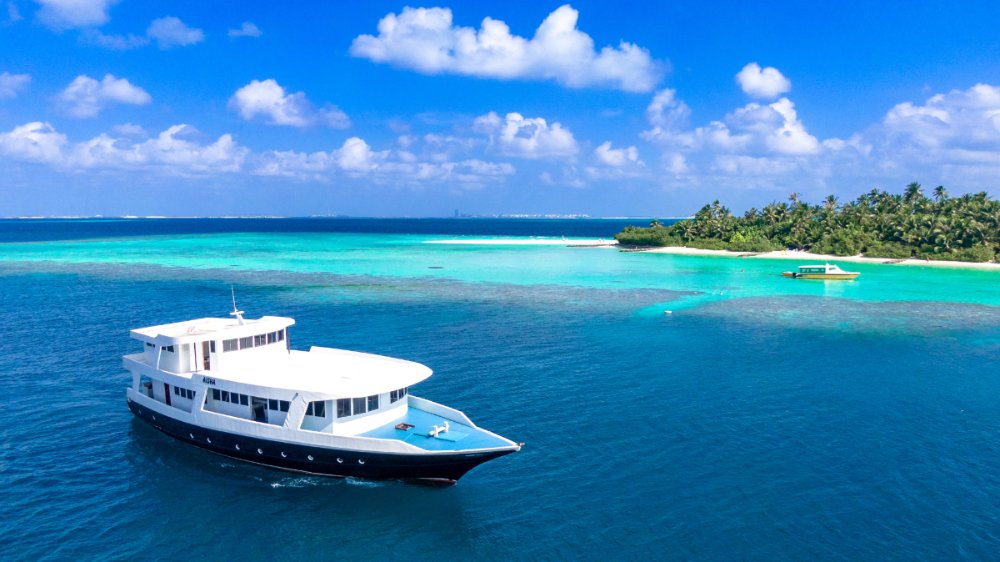Snorkelling — Snorkelling