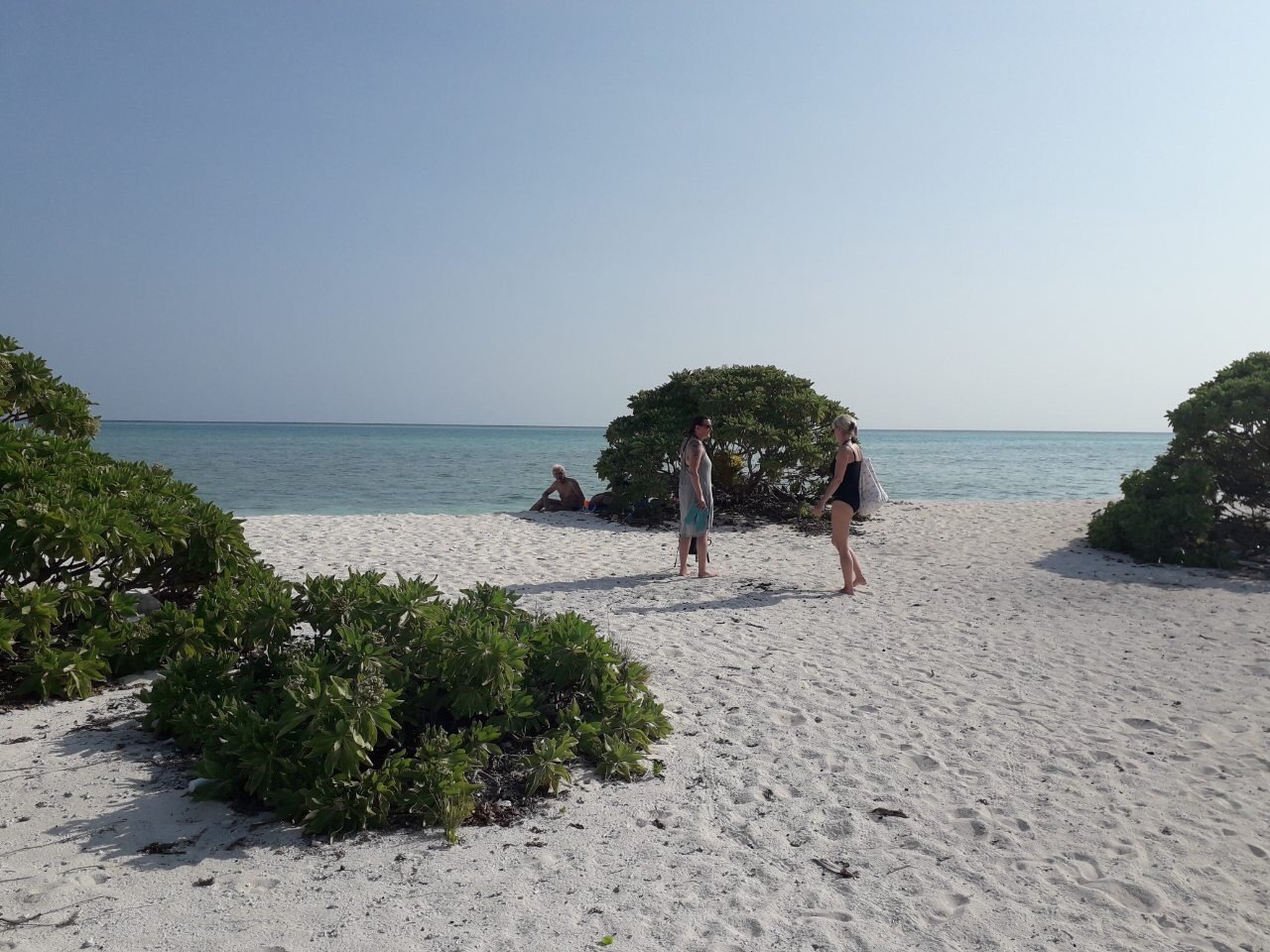 Sandbank Trip